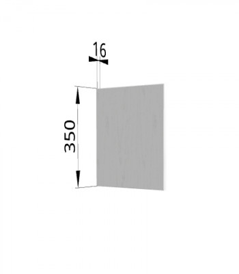 Панель торцевая (для шкафа горизонтального) ПГ Ройс (Графит софт) в Сузуне - suzun.mebel54.com | фото