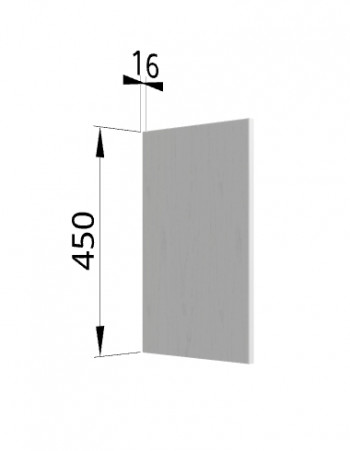 Панель торцевая (для шкафа горизонтального высокого) ВПГ Ройс (Графит софт) в Сузуне - suzun.mebel54.com | фото